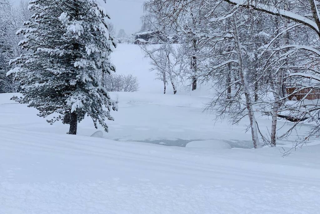 Zuhaus Schernfeichten Kitzbühel Exteriör bild