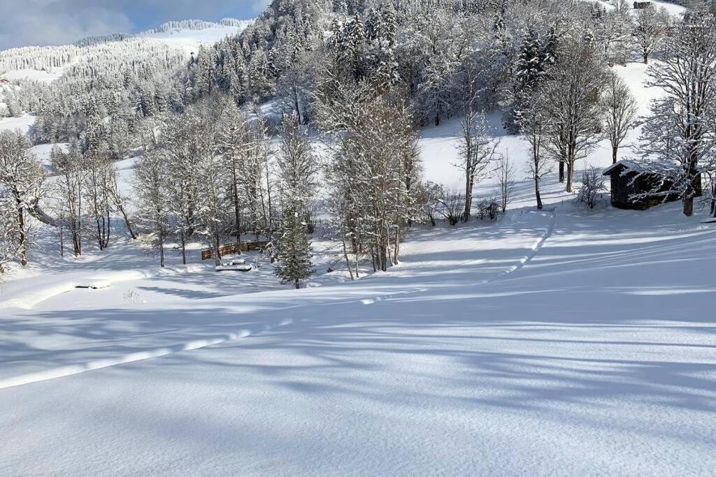 Zuhaus Schernfeichten Kitzbühel Exteriör bild
