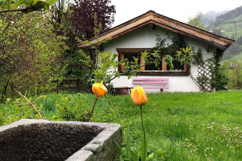Zuhaus Schernfeichten Kitzbühel Exteriör bild